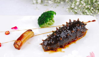 海参盛宴：尽享美食与健康的完美融合