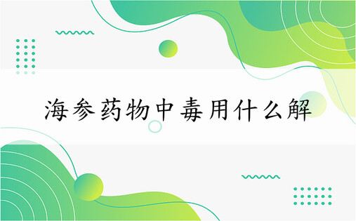 海参药物中毒用什么解