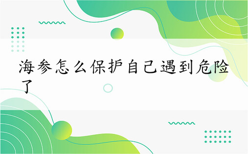 海参怎么保护自己遇到危险了